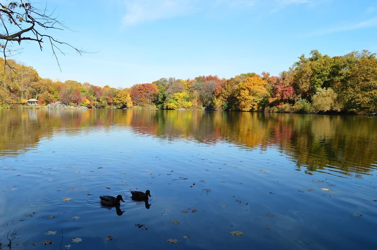 Upstate New York