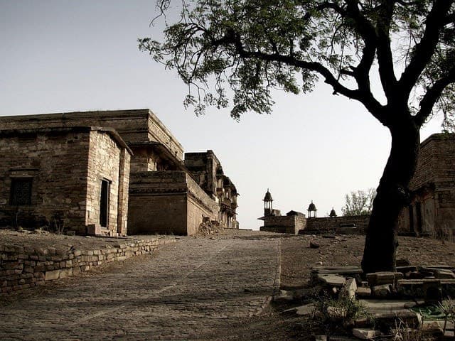 Gallery image 1