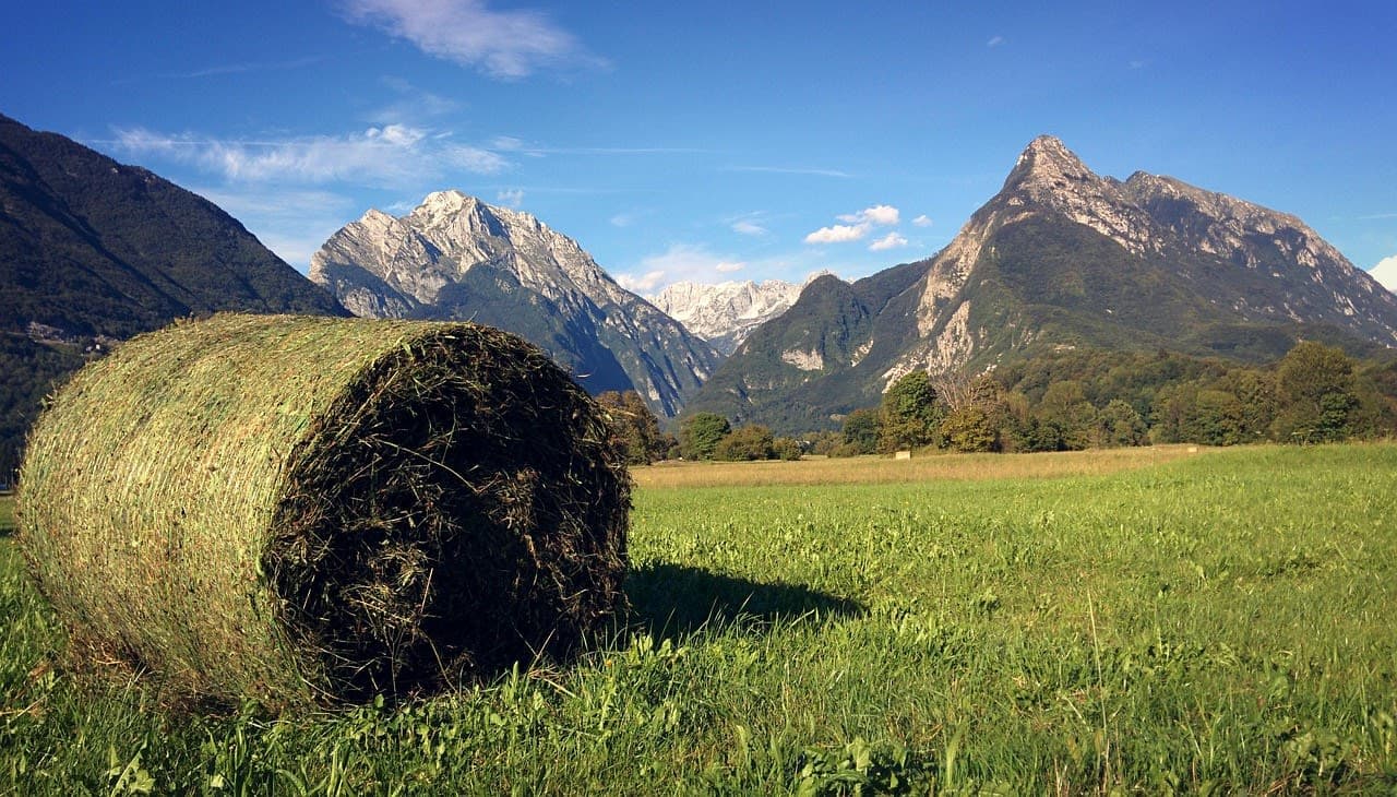 Slovenia
